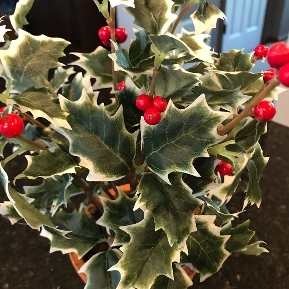 New Pottery Barn Faux Potted Holly, Holiday Plant - Picture 2 of 13